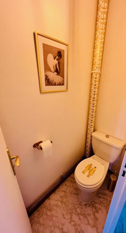 Appartamento Cocon proche CHU-EMAILLEURS Limoges Esterno foto