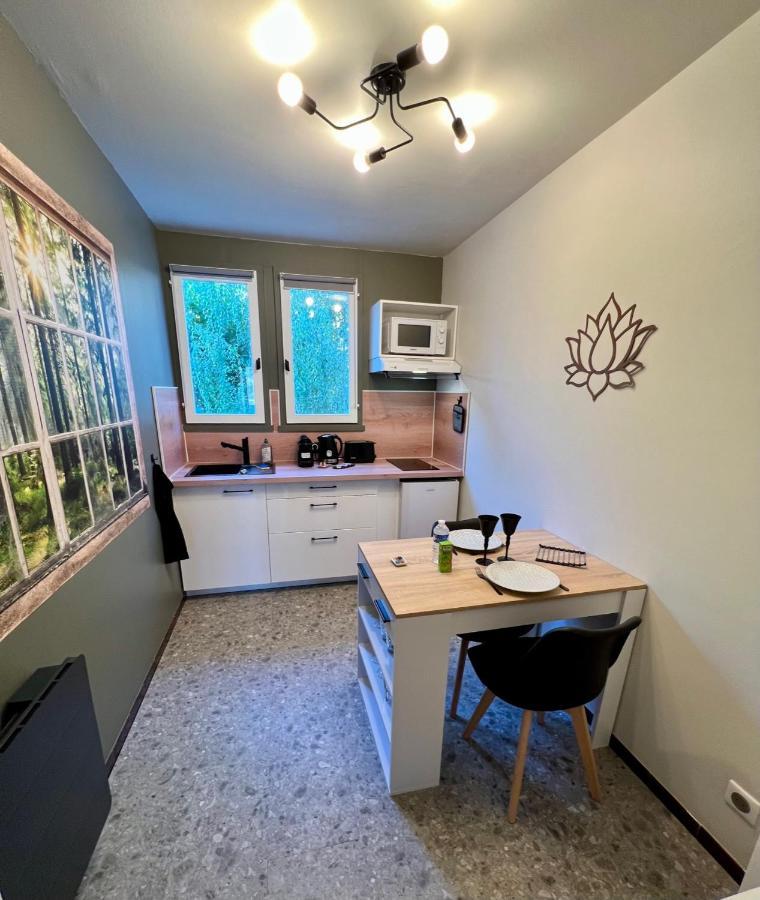 Appartamento Cocon proche CHU-EMAILLEURS Limoges Esterno foto